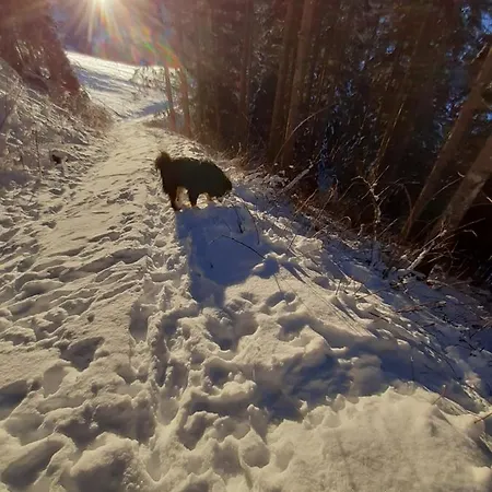 Apartamento Hoamalm Grossarl