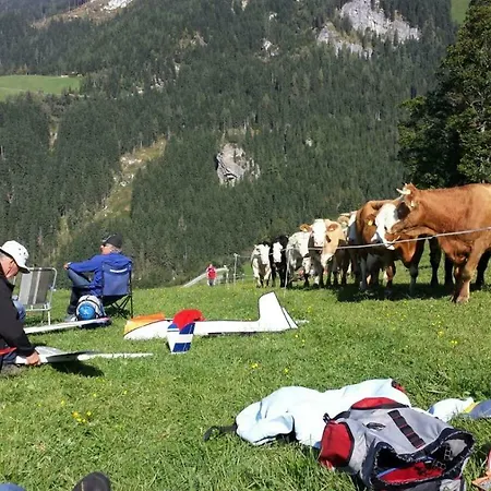 Apartamento Hoamalm *