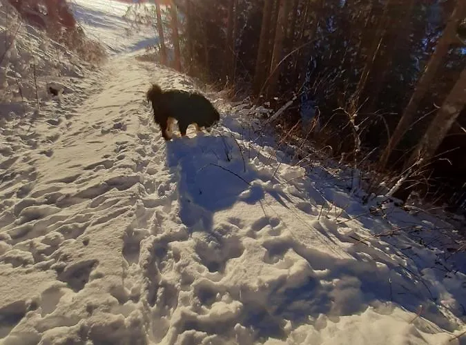 Appartamento Hoamalm Grossarl